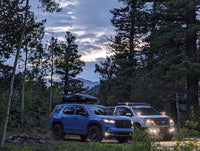 Non-trailsport suspension conversion kit / 2023+ Pilot /